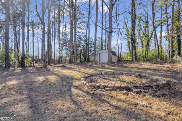 view of yard with a storage unit