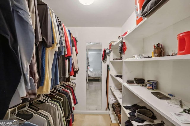 view of spacious closet