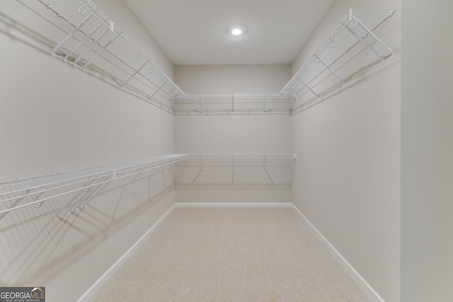 spacious closet with carpet flooring