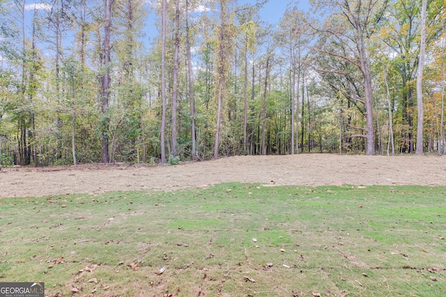 1797 Star Point Rd, Carrollton, GA 30116 - view of grassy yard featuring a view of trees
