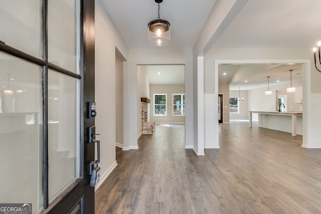 foyer with hardwood / wood-style flooring