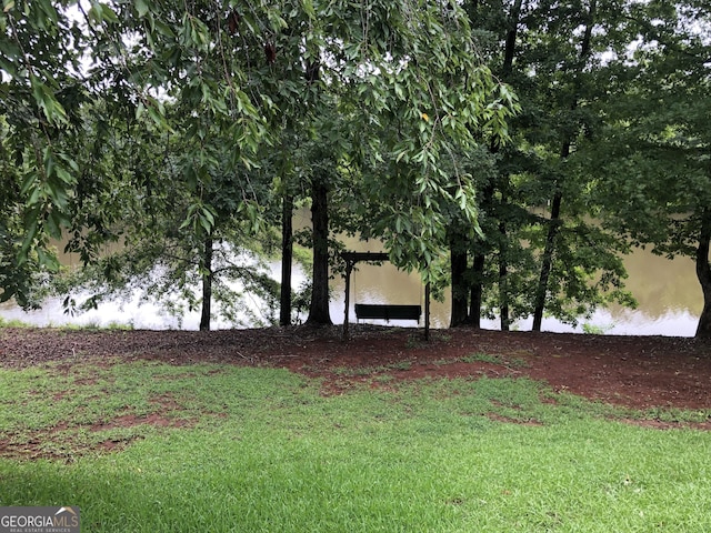 view of yard with a water view