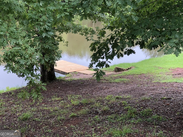 property view of water with a dock