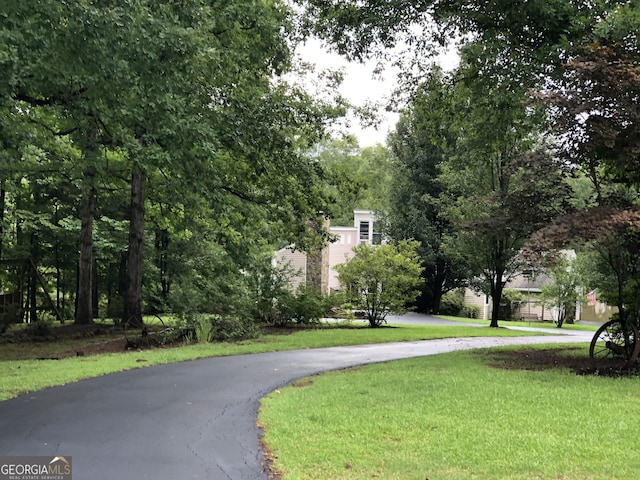 view of community with a yard