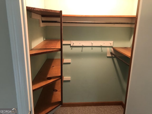 spacious closet featuring carpet