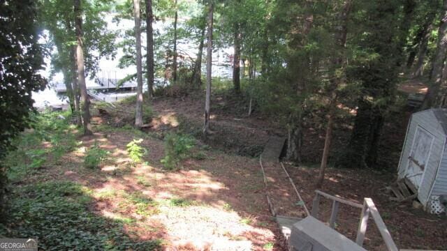 544 Lakeside Trl, Martin, GA 30557 - view of yard with a storage shed