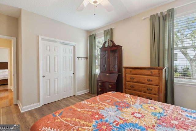 bedroom featuring ceiling fan, multiple windows, light hardwood / wood-style flooring, and a closet