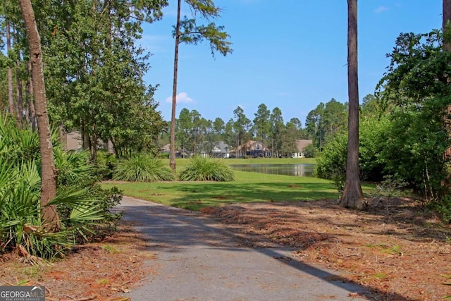 2491 Isles Of St Marys Way, Saint Marys, GA 31558 - surrounding community with a water view and a yard