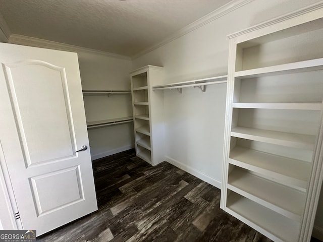 walk in closet featuring dark wood-type flooring