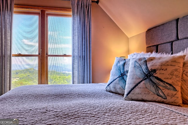 bedroom with vaulted ceiling