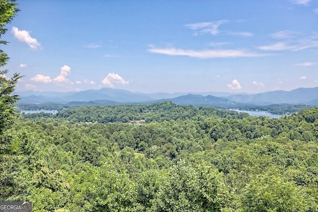 property view of mountains