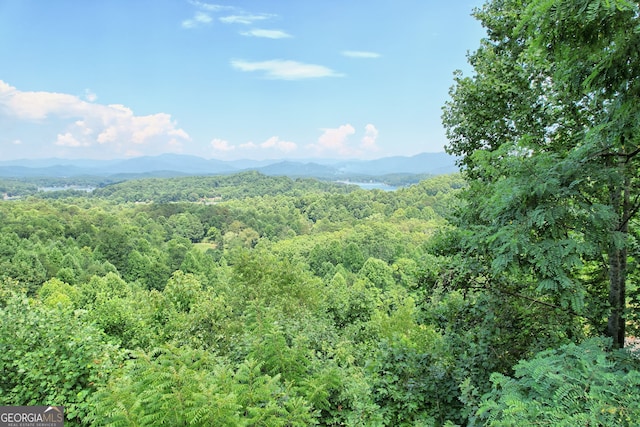 view of mountain feature