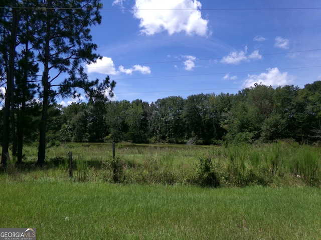 Listing photo 2 for 0 Lambs Bridge Rd, Swainsboro GA 30401