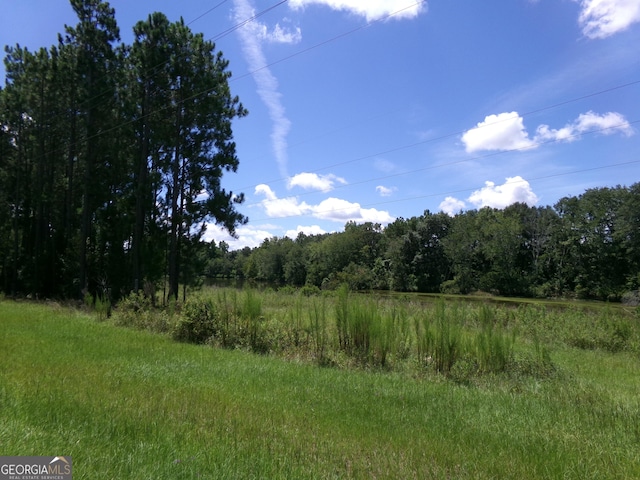 Listing photo 3 for 0 Lambs Bridge Rd, Swainsboro GA 30401