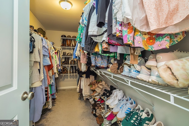 view of spacious closet