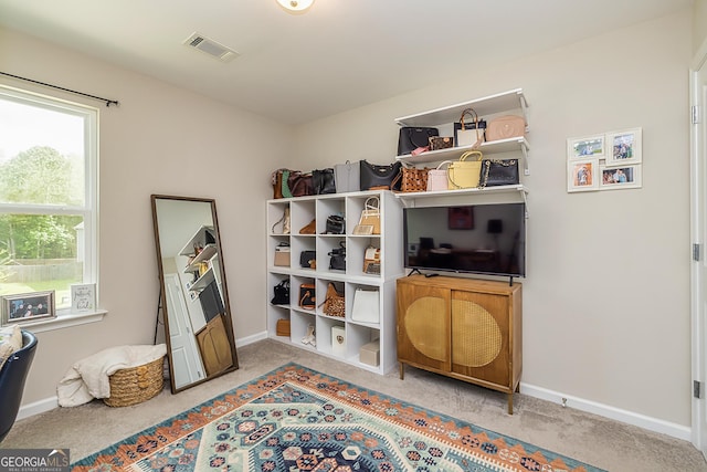 rec room with carpet flooring