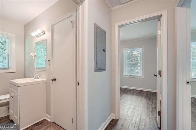 bathroom featuring vanity, hardwood / wood-style floors, electric panel, and crown molding