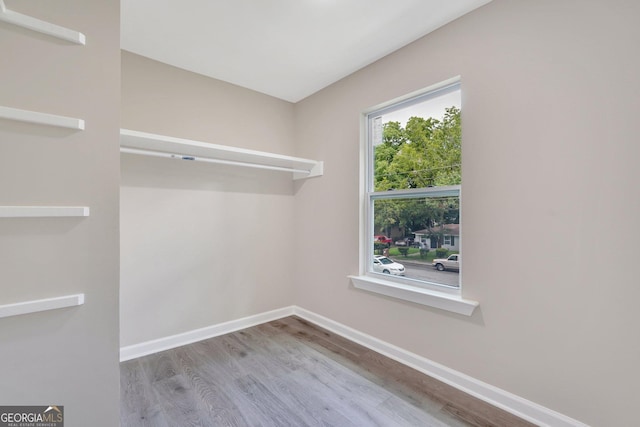 spacious closet featuring wood-type flooring