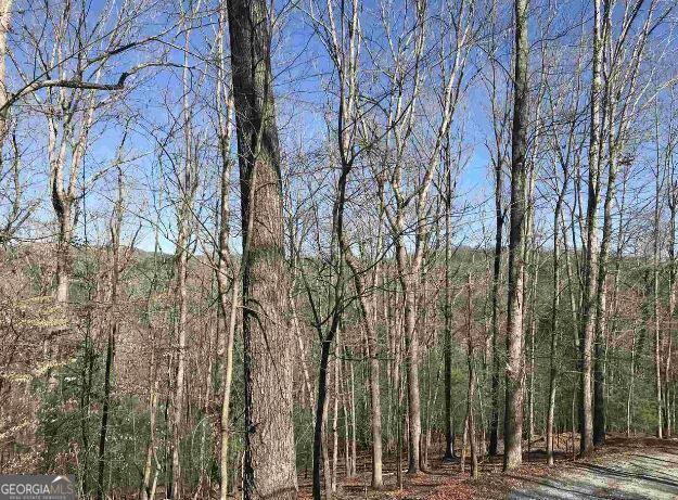 LT480 Diaz Ct, Ellijay GA, 30540 land for sale