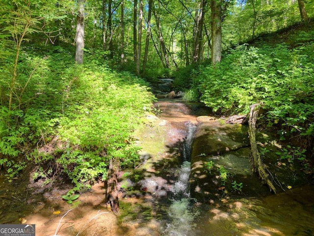 view of local wilderness