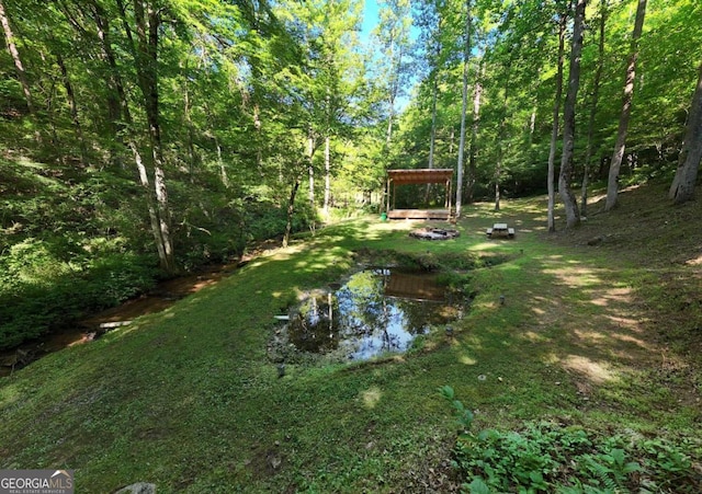 view of yard featuring a water view