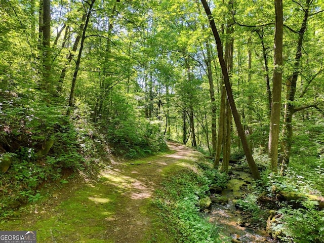 view of local wilderness