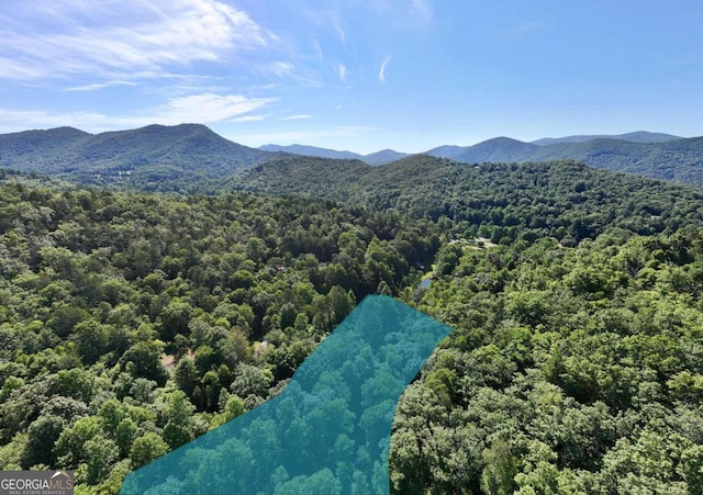 aerial view with a mountain view