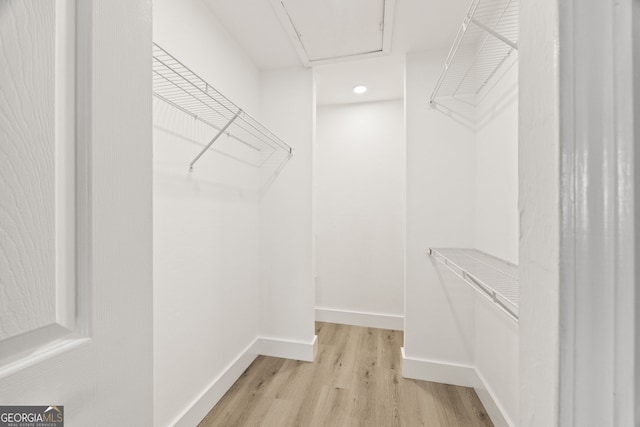 spacious closet featuring light hardwood / wood-style floors