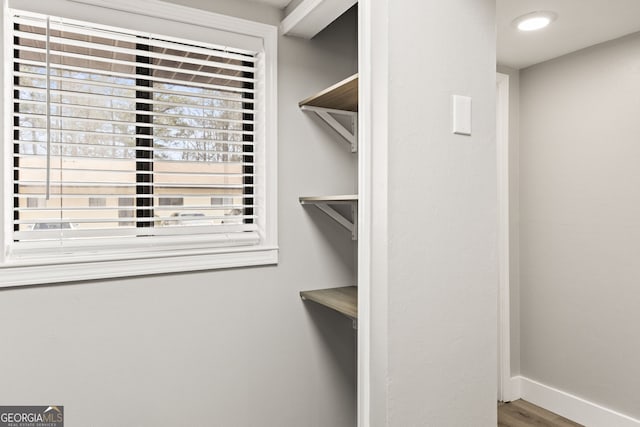 walk in closet featuring hardwood / wood-style flooring