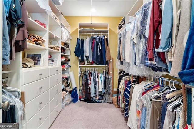 spacious closet featuring light colored carpet