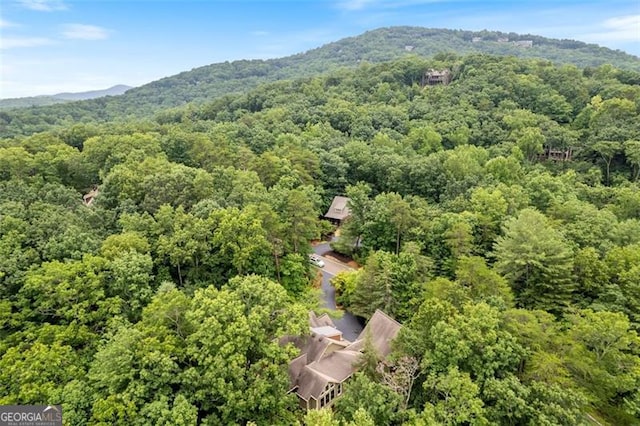 birds eye view of property featuring a mountain view