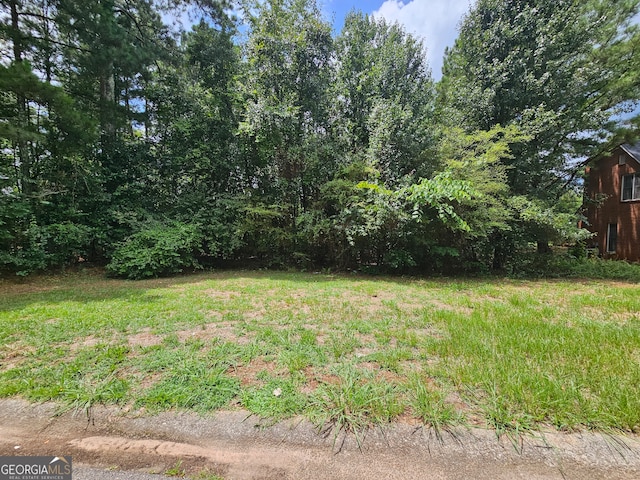 Listing photo 2 for 000 E Shoreview Rd, Mcdonough GA 30253