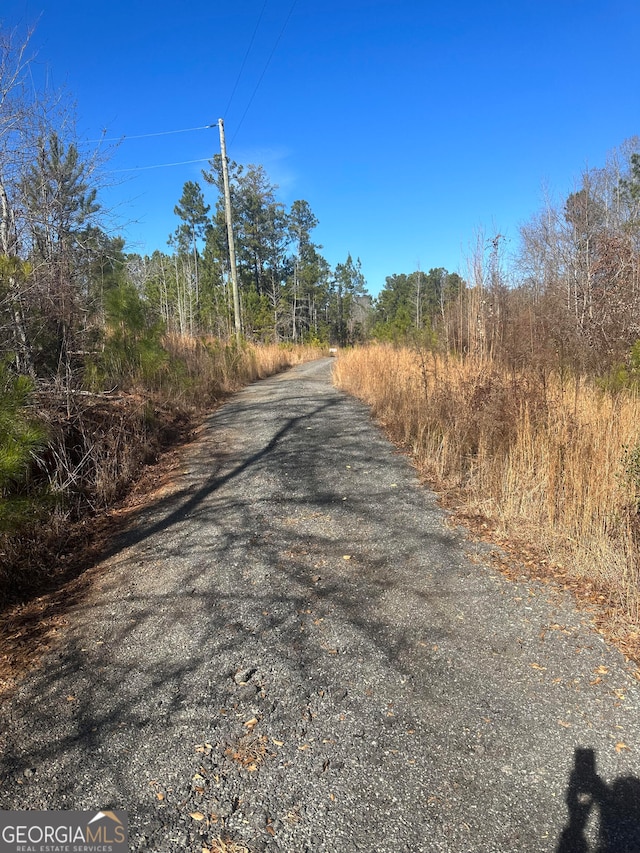 0 Winter Rd, Greenville GA, 30222 land for sale