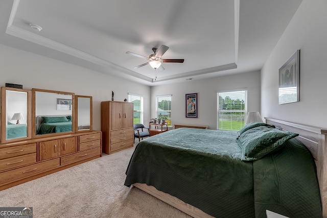 bedroom featuring ceiling fan, a tray ceiling, and carpet flooring