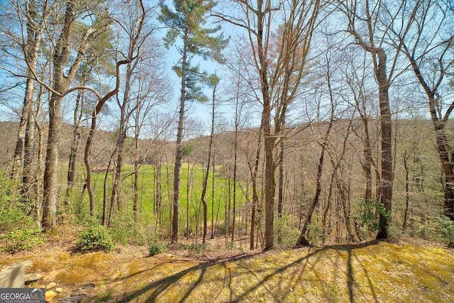 view of local wilderness with a view of trees