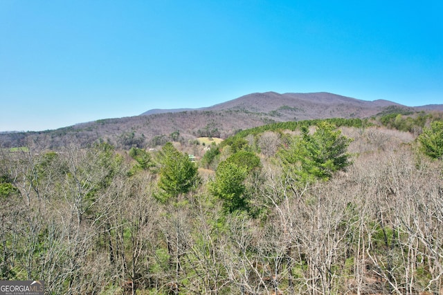 view of mountain feature