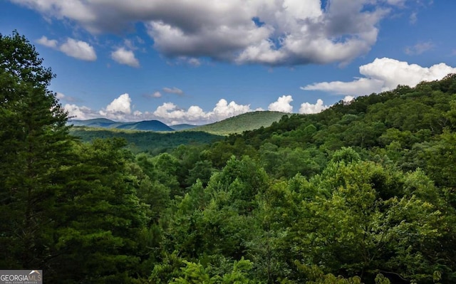 125 Laurel Hill Ln, Ellijay GA, 30536 land for sale