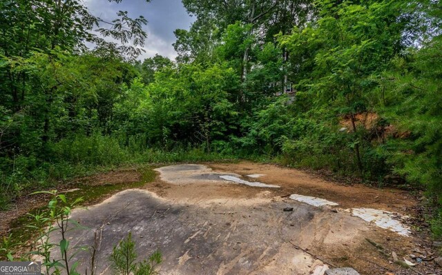 125 Laurel Hill Ln, Ellijay, GA 30536