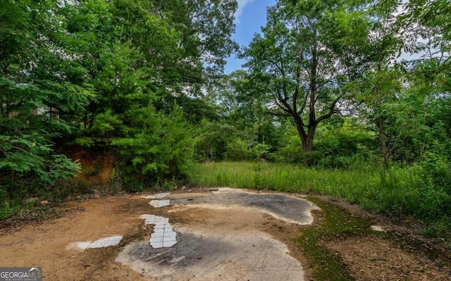 125 Laurel Hill Ln, Ellijay, GA 30536