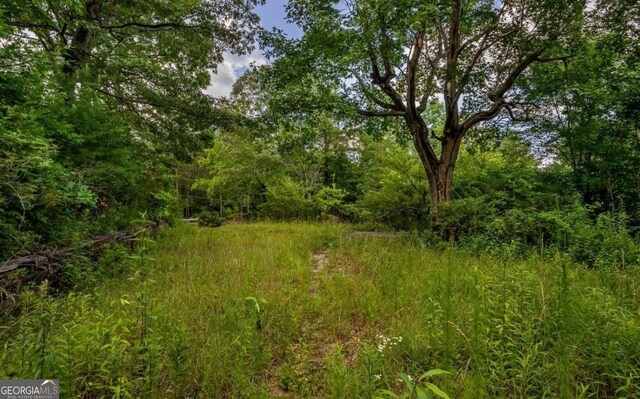 125 Laurel Hill Ln, Ellijay, GA 30536