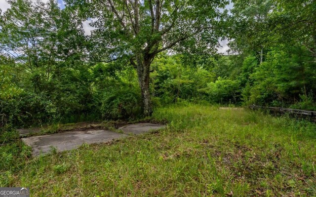 125 Laurel Hill Ln, Ellijay, GA 30536