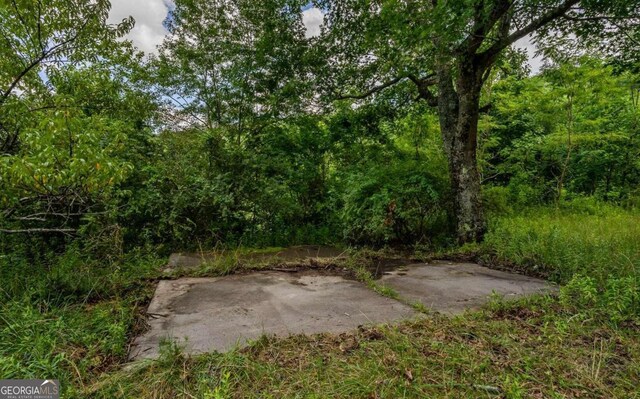 125 Laurel Hill Ln, Ellijay, GA 30536