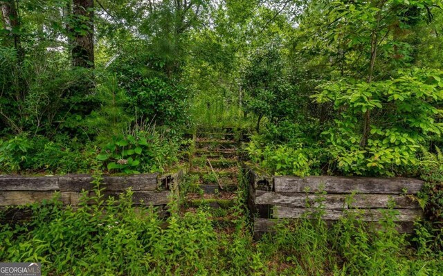 125 Laurel Hill Ln, Ellijay, GA 30536