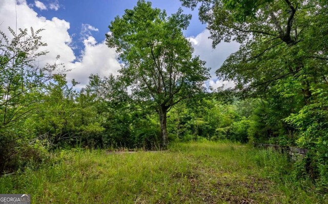 125 Laurel Hill Ln, Ellijay, GA 30536