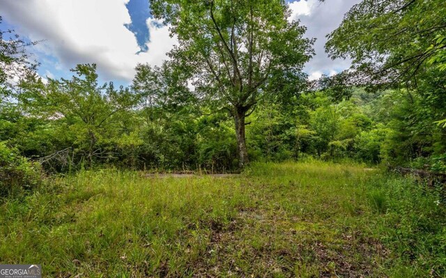 125 Laurel Hill Ln, Ellijay, GA 30536