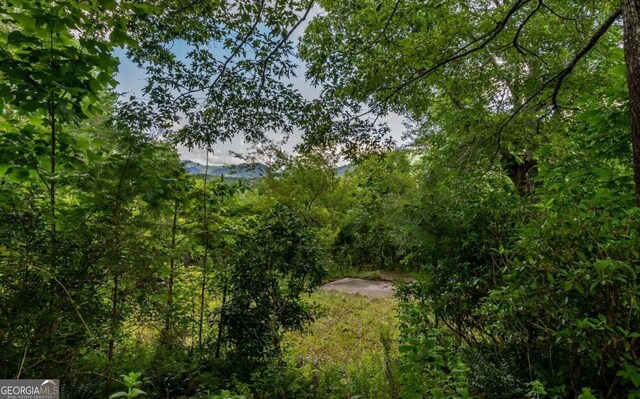 125 Laurel Hill Ln, Ellijay, GA 30536