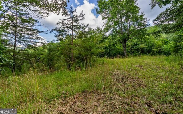 125 Laurel Hill Ln, Ellijay, GA 30536