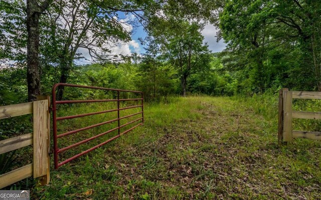 125 Laurel Hill Ln, Ellijay, GA 30536