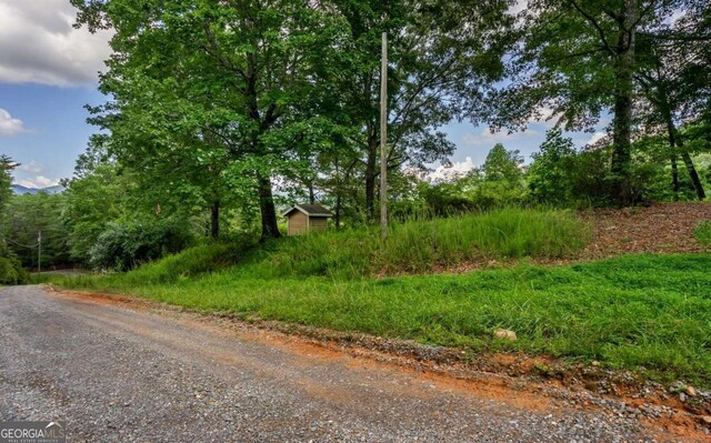 125 Laurel Hill Ln, Ellijay, GA 30536
