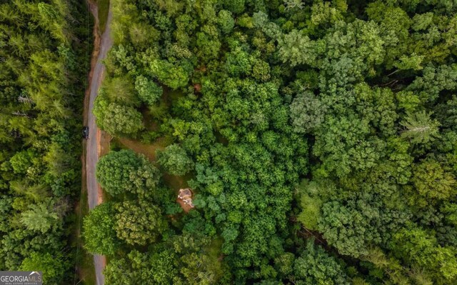 125 Laurel Hill Ln, Ellijay, GA 30536